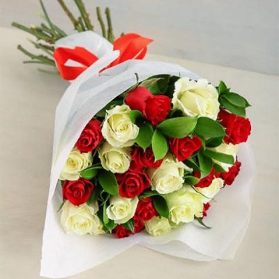 Red and White Roses II