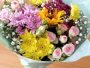 Pink and Yellow