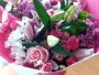 Pink Beauty
