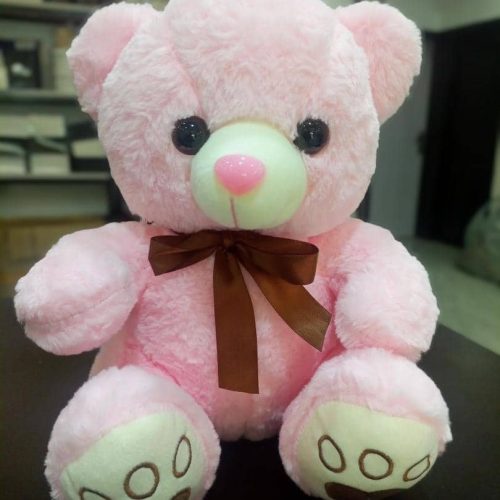 Mini Pink Teddy Bear