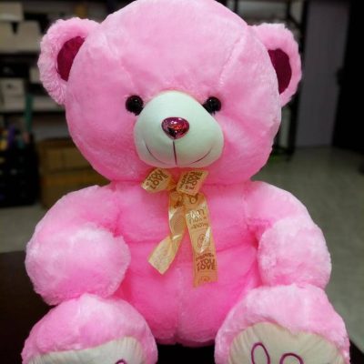 Small Pink Teddy Bear