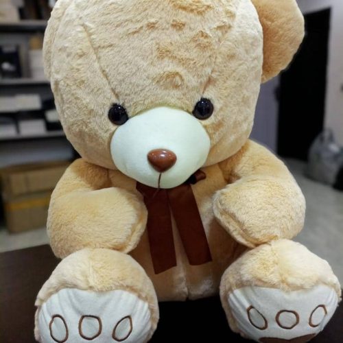 Small Teddy Bear