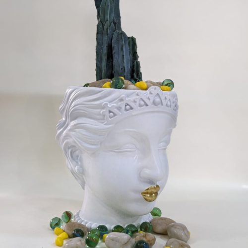 Cactus plant, Vase and Pebbles